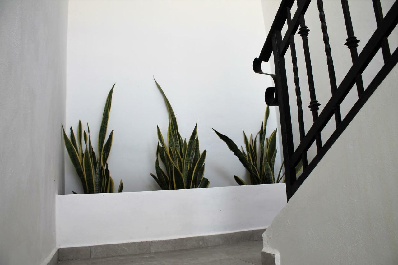 Apartamento Alebrije *